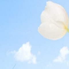 NCHSAA Offices Friday, June 1, 2018