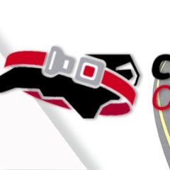 Winners Announced for North Carolina Governor’s Highway Safety Program Click it or Ticket Scholar-Athlete Essay Contest